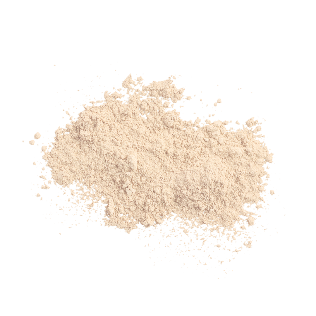 Sunforgettable® Total Protection™ Brush-On Shield SPF 50 powder || Fair